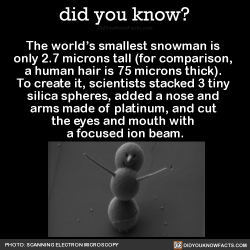 did-you-kno:  The world’s smallest snowman is  only 2.7 microns tall (for comparison,  a human hair is 75 microns thick).  To create it, scientists stacked 3 tiny  silica spheres, added a nose and  arms made of platinum, and cut  the eyes and mouth