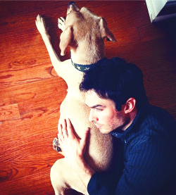 iansmolderholic:  @iansomerhalder: The calm