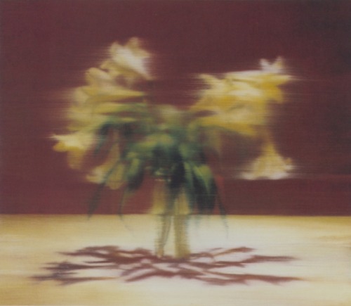 vuls:Gerhard RichterLilies2000 68 cm x 80 Catalogue Raisonné: 870-1Oil on canvas