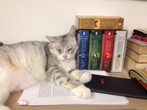 fluffymurellow:There is a whole empty bed down there, but no, squishy face seems more comfortable.