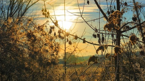 Let That Sunrise In
