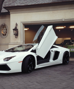 teamfytbl:  Aventador &amp; GT-R | More     