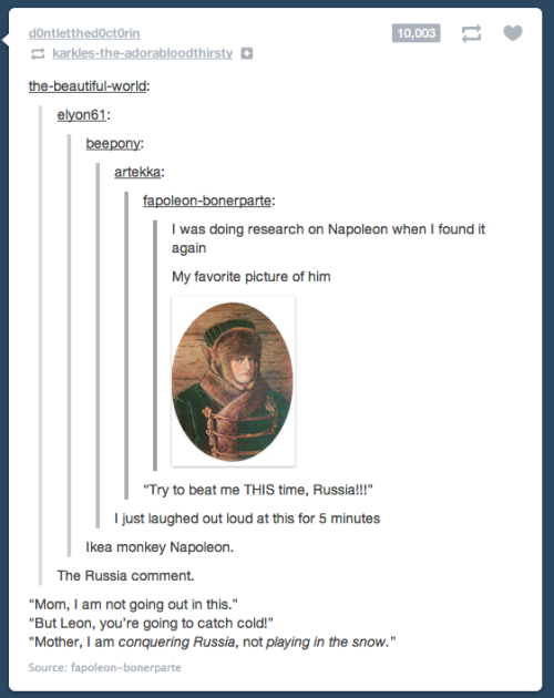 itsstuckyinmyhead:History According to Tumblr