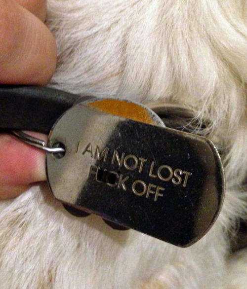 XXX tastefullyoffensive:  Funny Pet Collar Tags photo