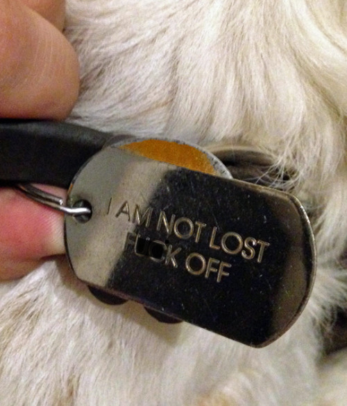 fat-on-purpose:tastefullyoffensive:  Funny Pet Collar Tags (photos via Bored Panda)Related: Cats and Dogs Growing Up With Their Toys   It is weird that most of these apply to me too?