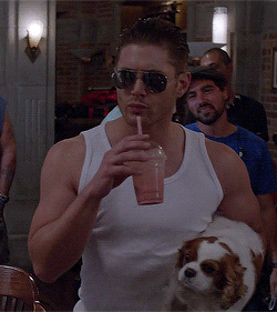 fricklepadalickle:  That was the same dog from the mockumentary and Jensen is drinking what looks like a smoothie(in the video he does yoga, and drinks and eats healthy stuff), so this was most likely a scene for it(but got cut), so that means since Misha