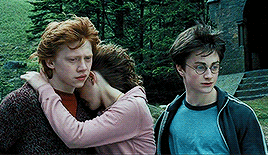 dailywizardwheezes:Harry Potter and the Prisoner of Azkaban dir. Alfonso Cuarón