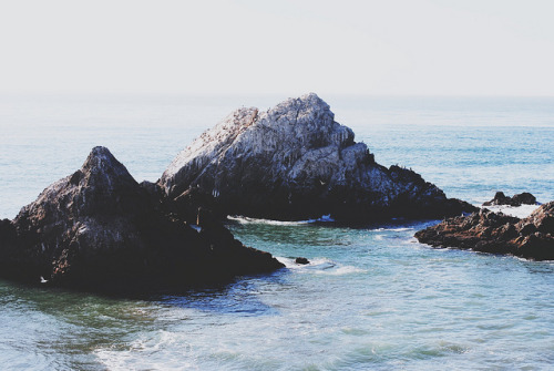 planet-one:  Ocean Beach by lisabeephotos on Flickr.