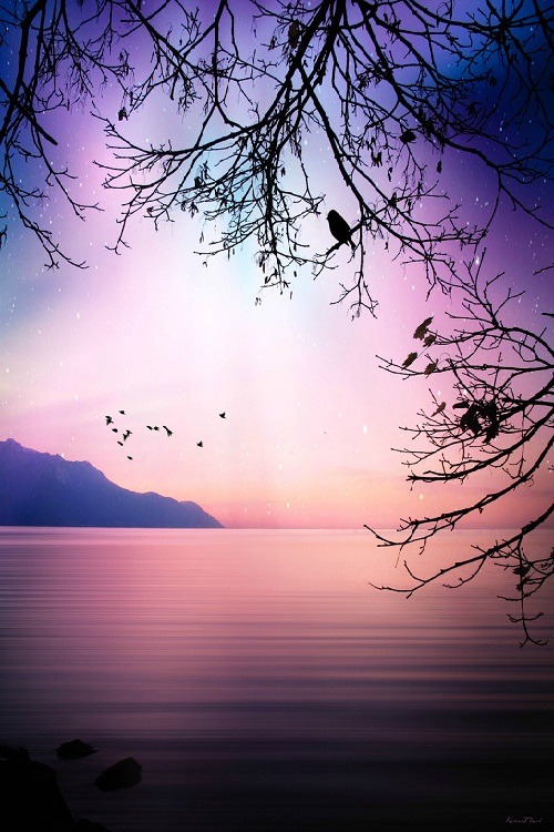 ponderation:  Quand revient la nuit… by KarinaFleur  
