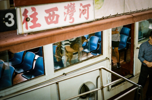 The year of Dog 2018, a Chinese New Year Celebration. 1. Sai Wan Pier, Hong Kong | Nov 20172. Kwun T