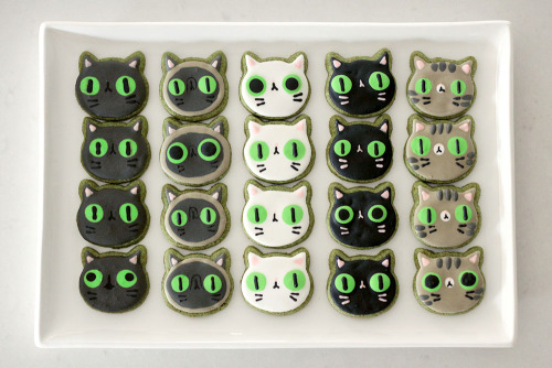 joy-ang:  Made some green cat cookies for St. Patrick’s Day. Also, I started up a new blog over at www.blog.pipio.ca where I’ll be posting these kinds of things regularly!