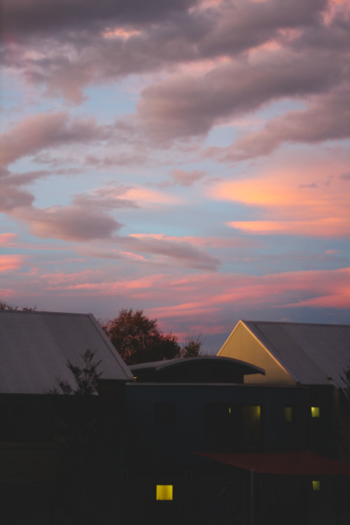 Ryan Clough // Blue amongst the pink. University Hall, Christchurch, New Zealand.