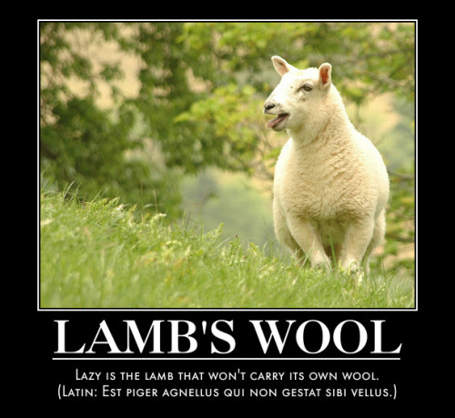 Vellus AgnelliEst piger agnellus qui non gestat sibi vellus.Lamb’s WoolLazy is the little lamb