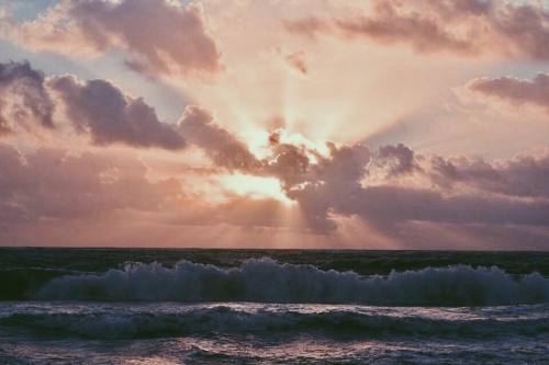 hauntinglover:blessed.