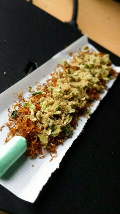 wegetzhigh:  thebluntmovement:  kushgang  Growing Ganja