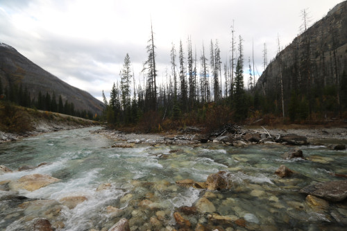 A trip to marble Canyon BC by Thank you for visiting my page