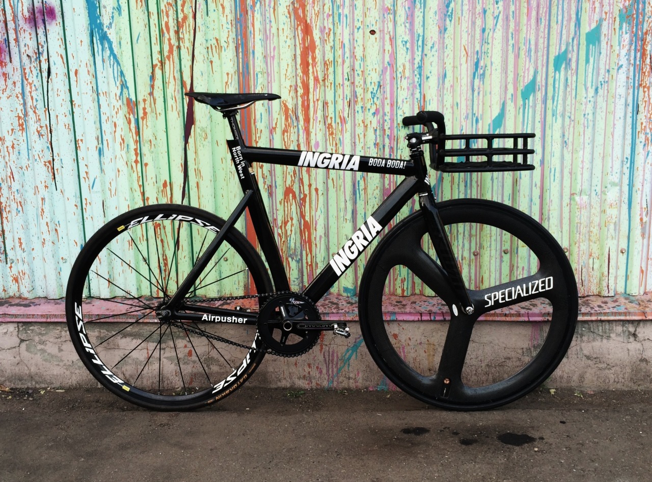 ingria fixie