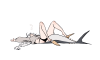 cloud-ya:cloud-ya:there isn&rsquo;t much to draw about fat fish tailoh people