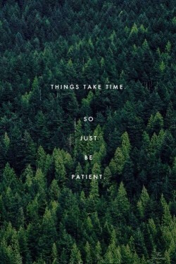 rainbowsnowlight:  Things take time 