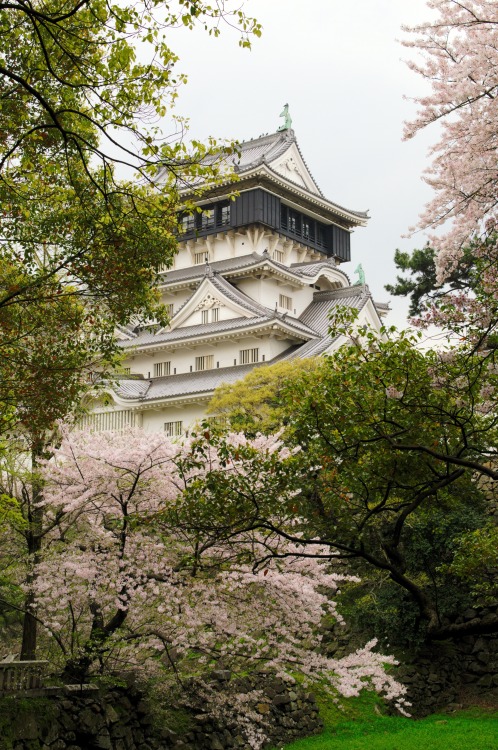 willee-i-am: Kokura Castle, Kitakyushu. 3.4.14