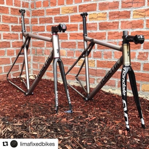 glastocycles:#Repost @limafixedbikes with @get_repost ・・・ TripleT #tripletriangle #tripletriangulo #