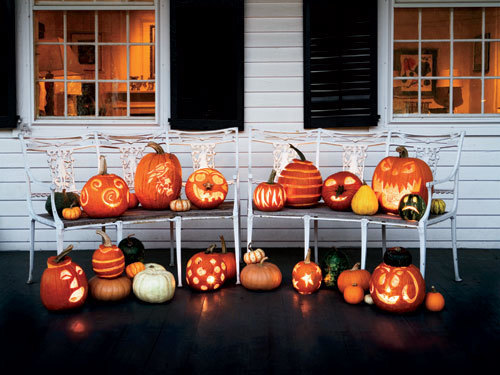 pumpkinlattesandautumnleaves:  want more cozy sweaters, lattes, pumpkin, pretty leaves and all things autumn on your dash? 