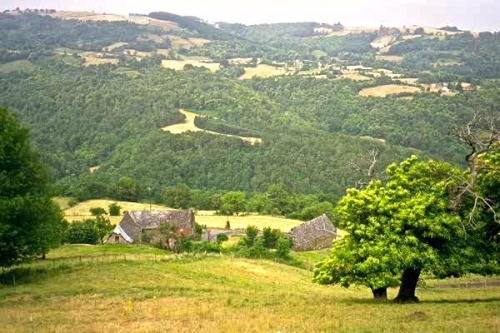 Aveyron: paysage avec une ferme et marronnier en fleurs, France, 1999.