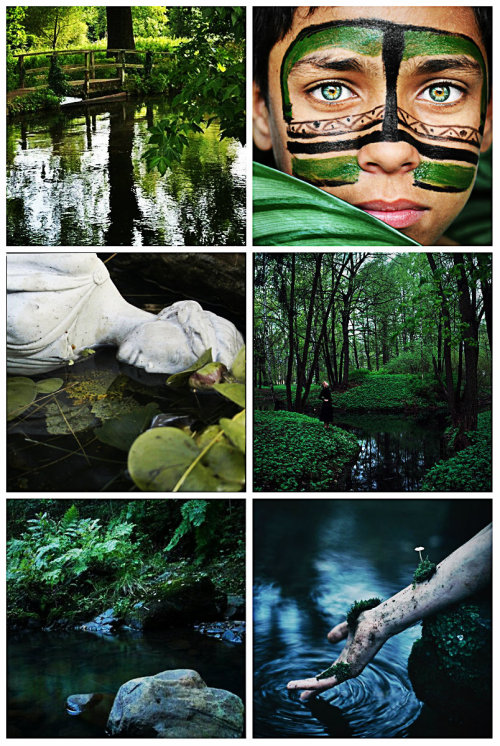 stormwaterwitch:Forest Pond AestheticRequested by @virginia-woolf-is-my-wifePictures found on Wehear