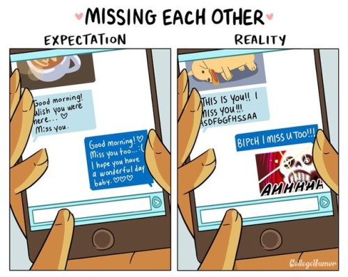 smileyangel7:  drfitzmonster:  thefingerfuckingfemalefury:   pr1nceshawn:   Long Distance Relationships: Expectation VS. Reality. THIS IS THE LOVELIEST EVER THING     @drrreamfiveseventeen  