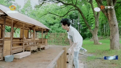 奇妙小森林tumblr Posts Tumbral Com