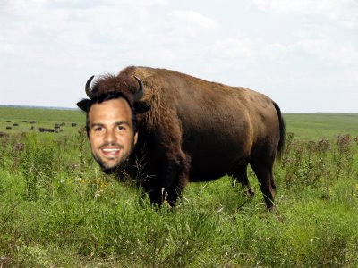 markruffalo:  aos-skimmons:  so I was thinking that mark ruffalo sounds a lot like mark buffalo, and then i decided that i obviously wasn’t going to be the only one who thought about this. so i typed ‘ruffalo the buffalo’ into google images and