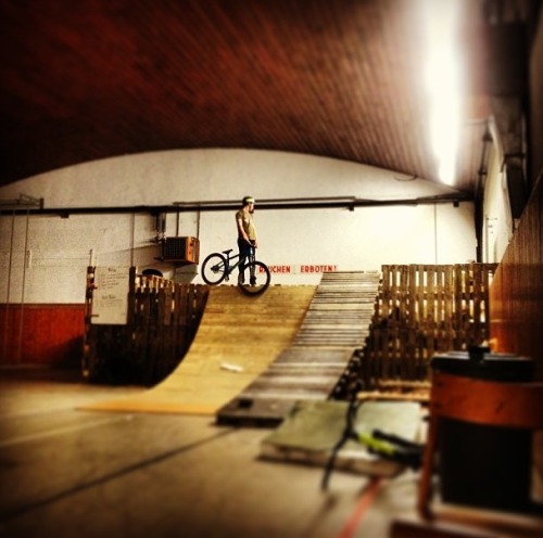 greinerjuliexo: Playing bikes #eveningsession