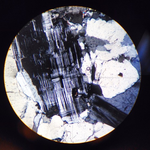 abigailweibel:Microcline, cross polarized. Abigail Weibel, iPhone image through a microscope. Classi