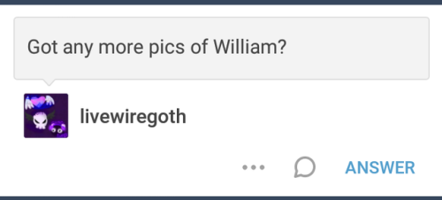 Yeah. I Have More Pictures.