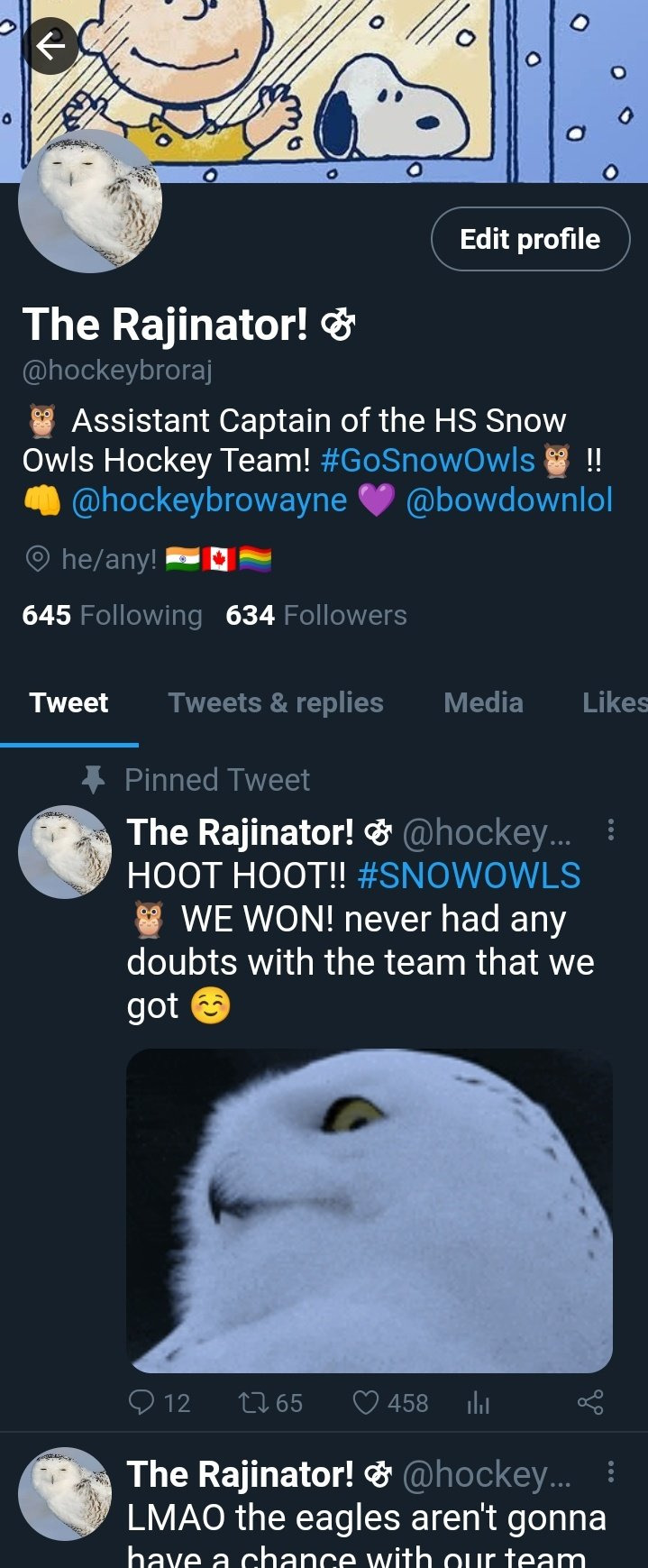 I Tried Making A Tdi2023 High School Socmed/twitter Au Last December And I Made These Accounts For Them!