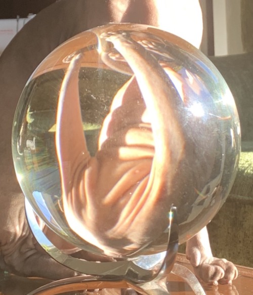 Was Trying To Get A Picture Of Khoshekh Pondering The Orb For Tumblr But Uh