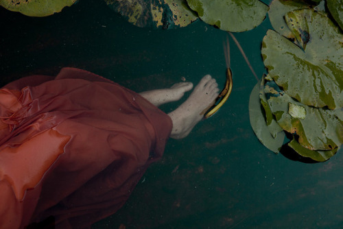 requiem-on-water:Ophelia by Monia Merlo