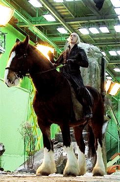 movienut14:  lukasnorth:  The horse Lee rode in The Hobbit, Moose (the one they CGI’d