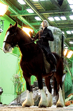 XXX movienut14:  lukasnorth:  The horse Lee rode photo
