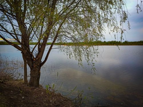 Озеро #nature #spring #clouds #beautiful #russia #green #sky #springmood #nizhnynovgorod #springday 