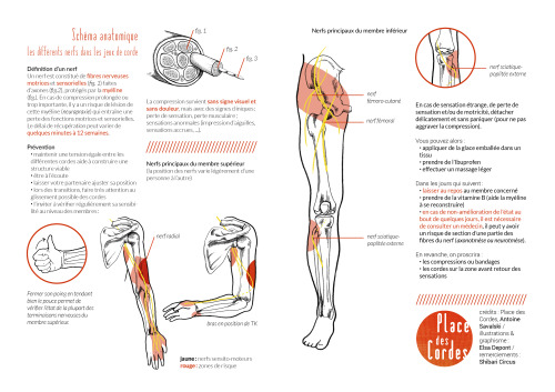 ropeandthings:  placedescordes:    A simple flyer about nerve damages’ education and prevention in rope bondage.Feel free to share, print and use.Exist also in french, but not in klingon nor dwarf. Not yet.  Credits: Antoine Savalski, Elsa DepontMany