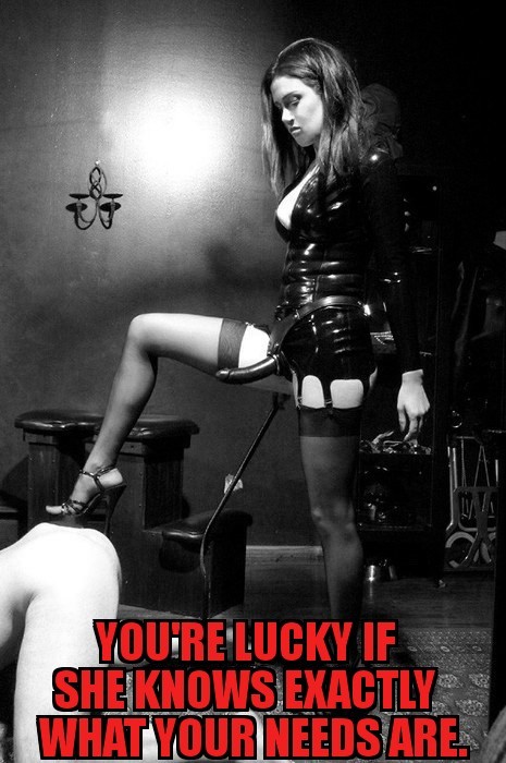 bicuckandmistress:  