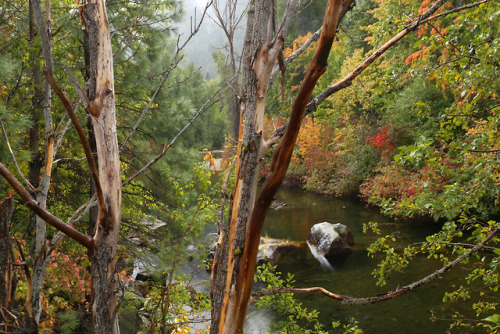 90377:  Wenatchee River Autumn by Rafe Cookinghamus  I&rsquo;ll have to visit one fall