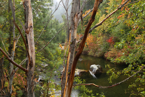 90377: Wenatchee River Autumn by Rafe Cookinghamus I&rsquo;ll have to visit one fall