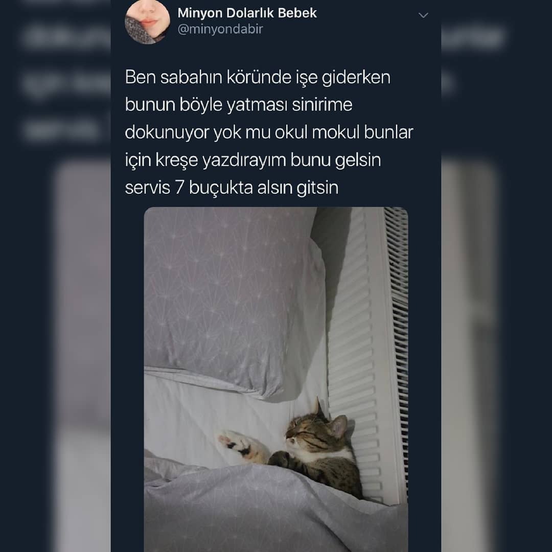 - Ben sabahın köründe işe...