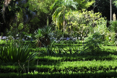 Jardim Botânico da Universidade de Lisboa