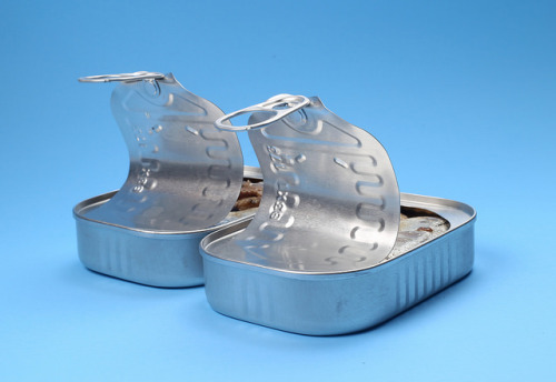 xerui:  Kayla Chobotiuk / Sardine  