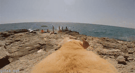 gifak-net:  Dog Loves Water  video  :D