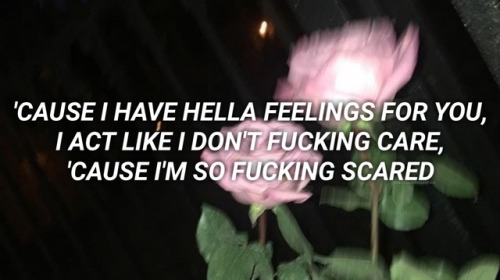 blackbearthoselyrics:idfc // blackbear