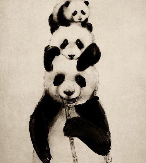 benucabiliyorum:  Panda